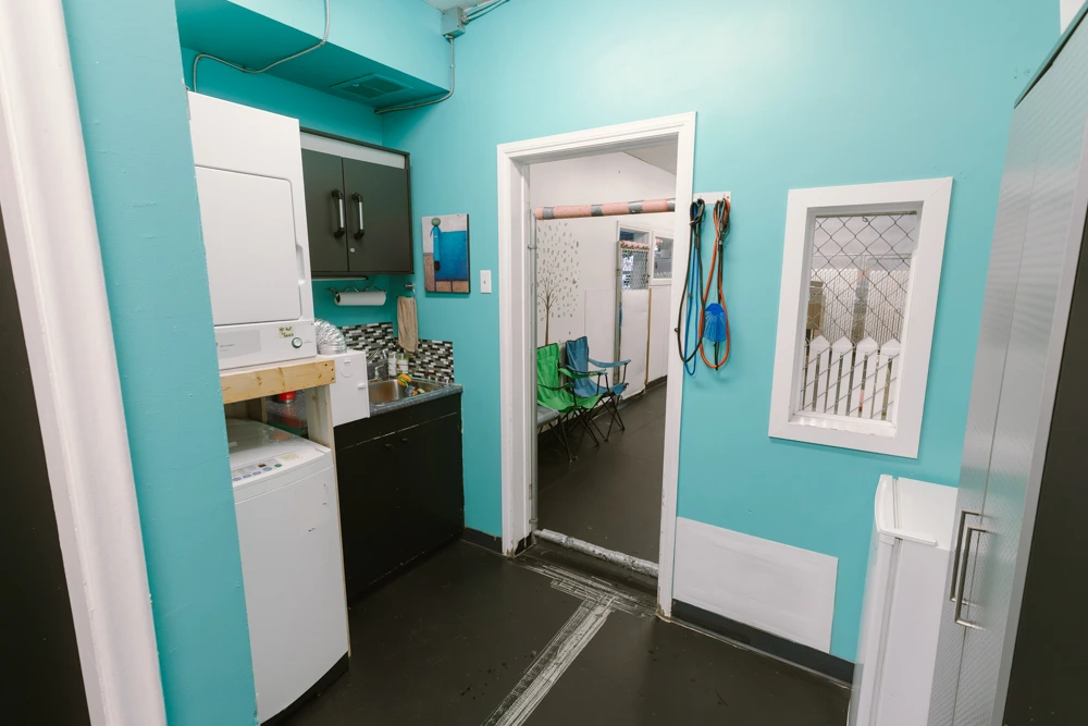 Premium Dog Daycare Grooming Business4